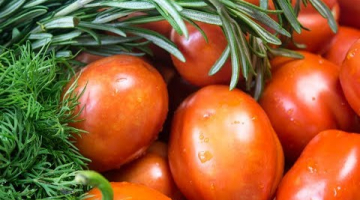 Маринованные помидоры Классический проверенный рецепт