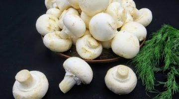 Золотые грибочки! Шикарная закуска из грибов шампиньонов